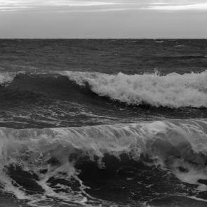 ����: ����� 