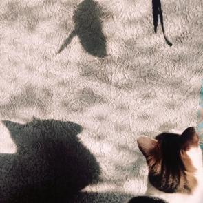 ������� ����� � ����