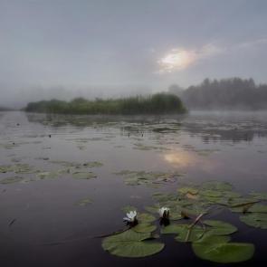 ����: �����