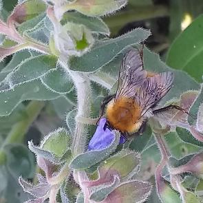 ����: ������� ��������