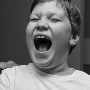 ����: ���