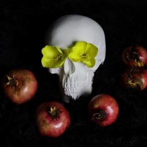 ����: ������ �����