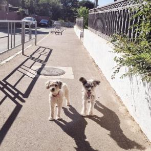 ����: ������