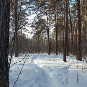 ����: �������� ������