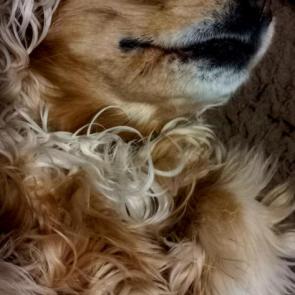 ����: �� ����������