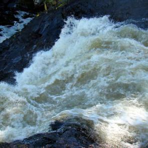 ����: �����