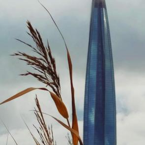 ���� ��������: 