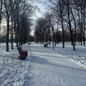 ����: ������ ����������