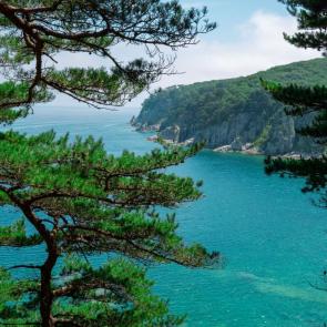 ����: ������� ������