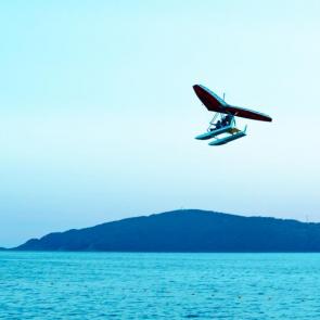 ����: ������