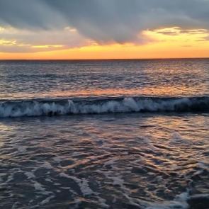 ����: �������� ����