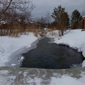 ����: ����