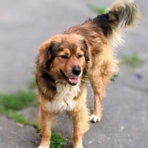 ����: ������ - �������� �������.