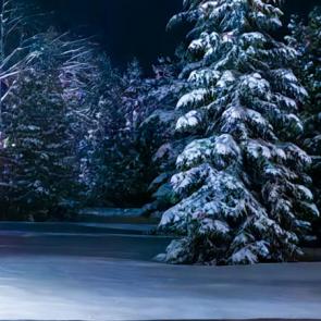 ����: ������ ����� 