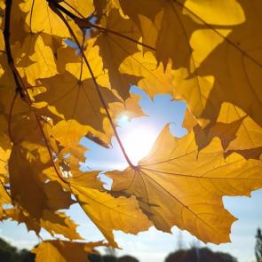 ����: � ������� ������� �������� �����