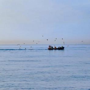 ����: ������� 