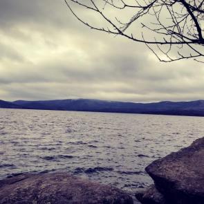 ����: ����� ������ 