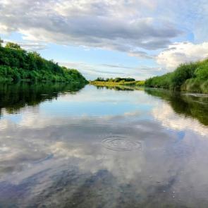 ����: �����