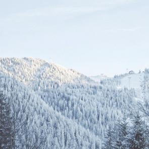 ����: ������...