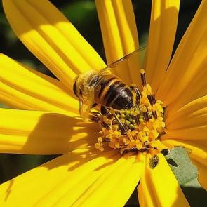 ����: �������, � ������ �������...