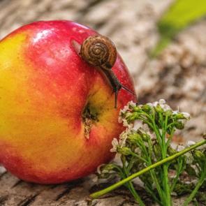 ����: ��� �� ���? � �� ���? ))