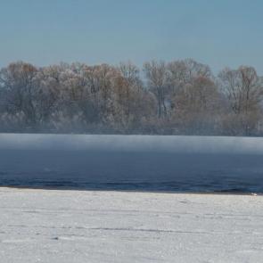 ����: ����