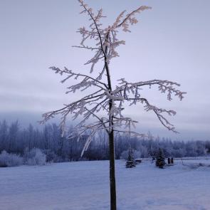 ���� ��������: �������� ����