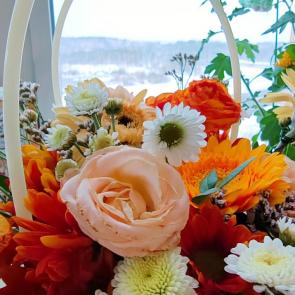 ����: ���������