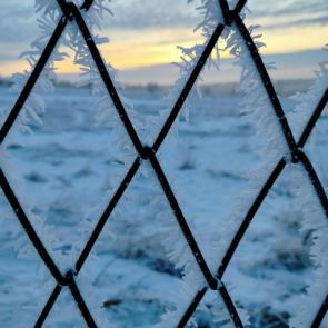 ����: ����� � �����