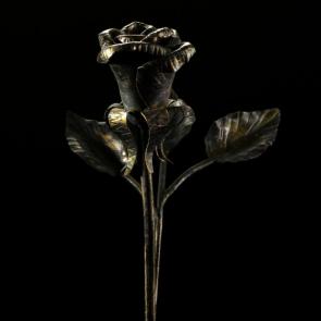 ���� ��������: ���� � ������