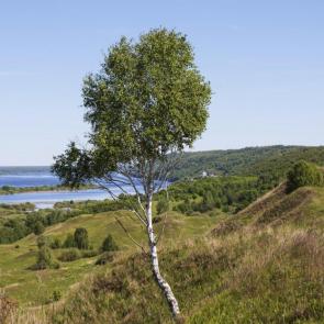 ����: �������� ������ � �������� �������