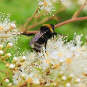 ����: ����� � �������