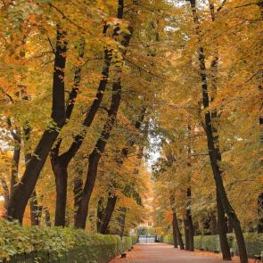 ����: ������� �����. 