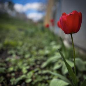 ���� ��������: ������� 