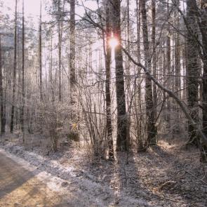 ����: ������ ������.