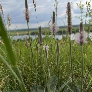 ����: ������� �����������