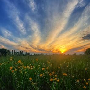 ����: �����