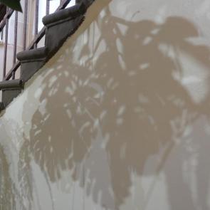 ����: �������� � ���������