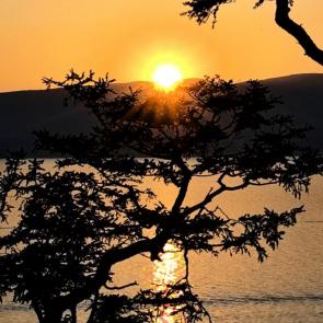 ����: ������ � �������� ������