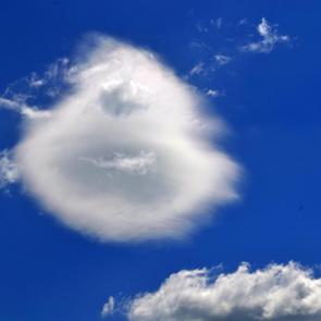 ����: �� �������