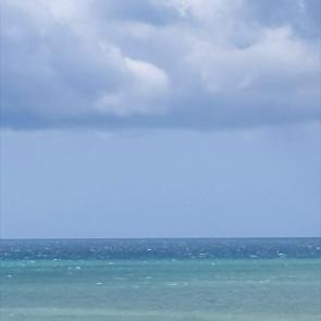 ����: ���� ׸���� ���� 