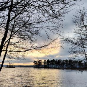 ����: �� ������