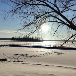 ����: ������ ������