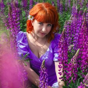 ���� ��������: 