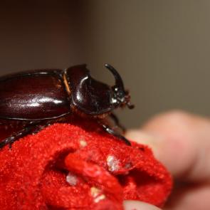 ����: ��� ��� ���������!