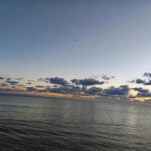 ����: �� ������ ���