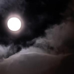 ����: ������ �����