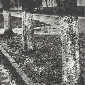 ����: �����