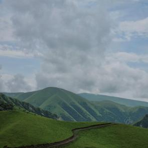 ���� ��������: ������