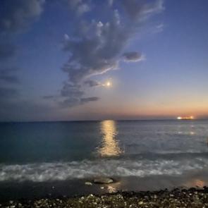 ����: ������ �������